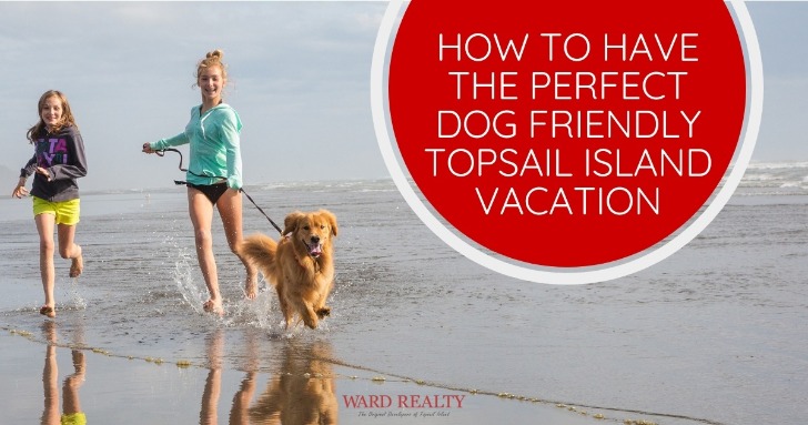 How to Have the Perfect Dog Friendly Topsail Island Vacation | Ward Realty