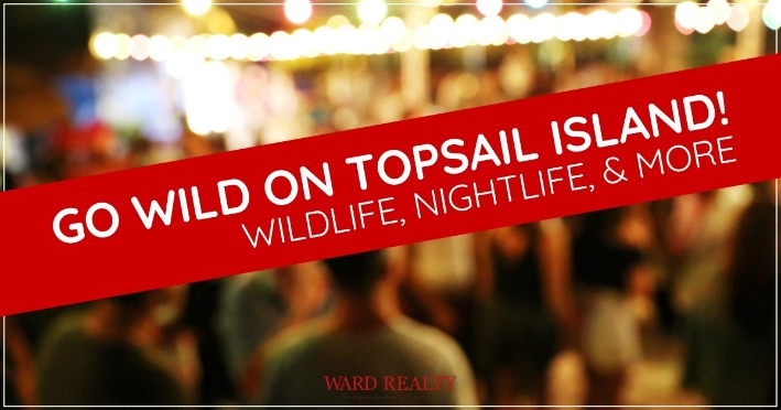 Go Wild On Topsail Island! Wildlife, Nightlife, and More | Ward Realty