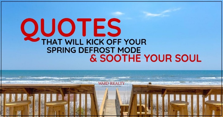 Quotes That Will Kick Off Your Spring Defrost Mode and Soothe Your Soul | Ward Realty