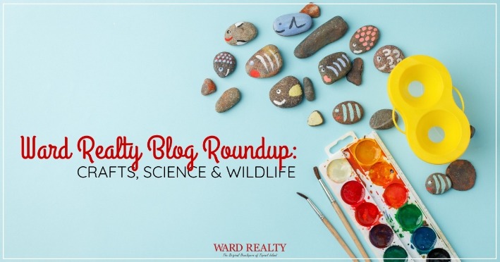 Ward Realty Blog Roundup: Crafts, Science & Wildlife