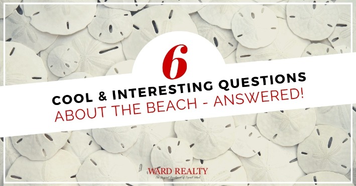 6 Cool and Interesting Questions About the Beach - Answered! | Ward Realty