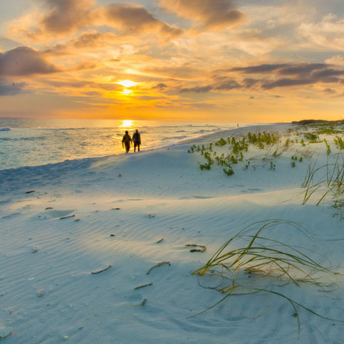 Thing To Do Newly Listed