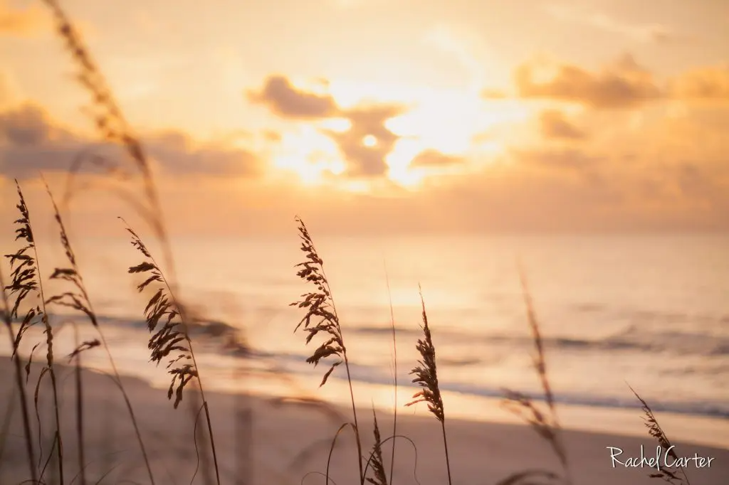 Sunrise on North Topsail Beach by Rachel Carter Images | Ward Realty