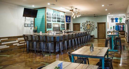 salty turtle | Ward Realty Topsail Island