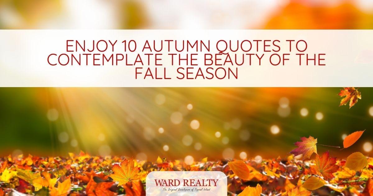 Autumn Is Here, but Winter Is Coming: 8 Ways You Can Prepare For