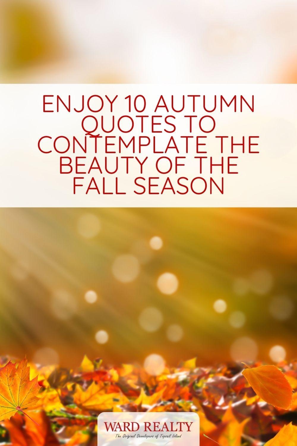 Autumn Is Here, but Winter Is Coming: 8 Ways You Can Prepare For