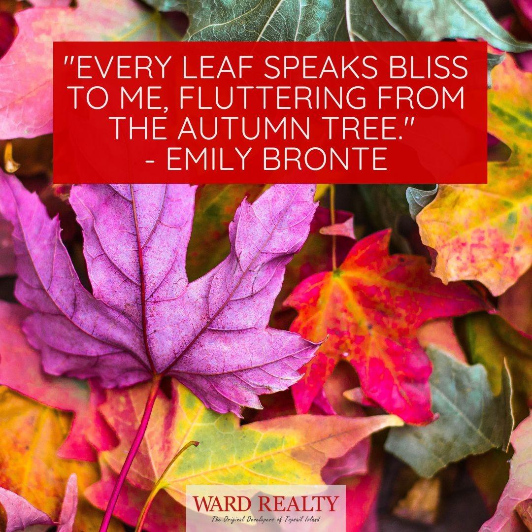 Enjoy 10 Autumn Quotes to Contemplate the Beauty of the Fall Season